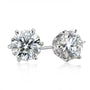 Delight Stud Earring