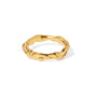 Abi Ring
