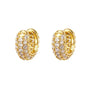 Sublime Earring