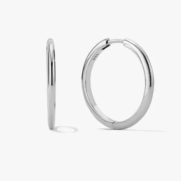Dazzle Silver Earring