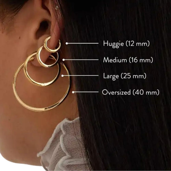 Dazzle Silver Earring