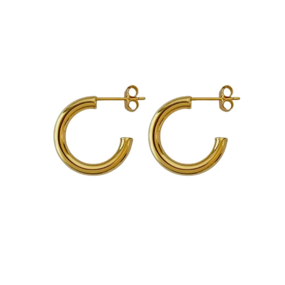 Abi Gold Earring