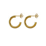 Abi Gold Earring